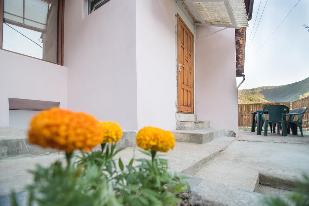 Belvedere Old City Брашов Екстер'єр фото
